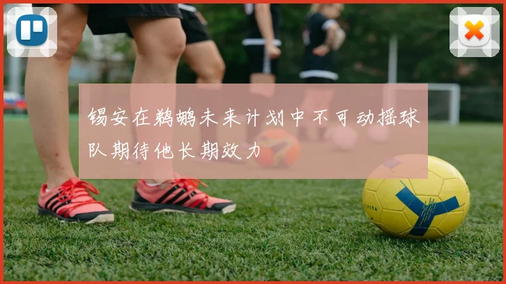 锡安在鹈鹕未来计划中不可动摇球队期待他长期效力